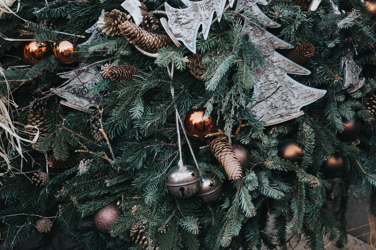 albero di natale vero